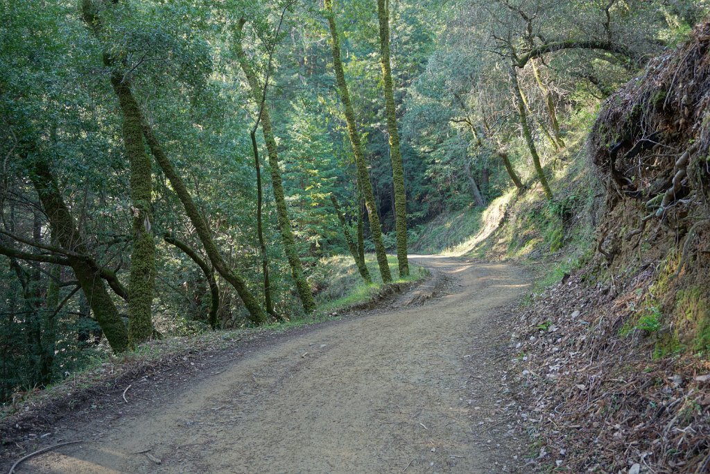 DSC05216