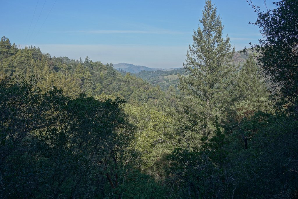 DSC05219