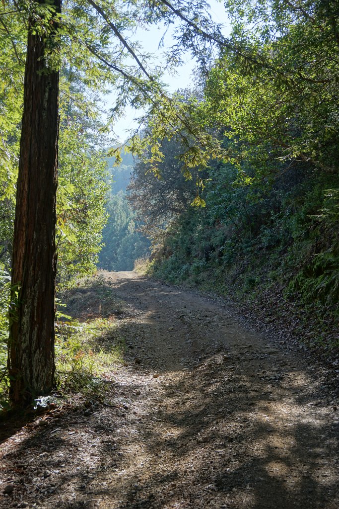 DSC05243
