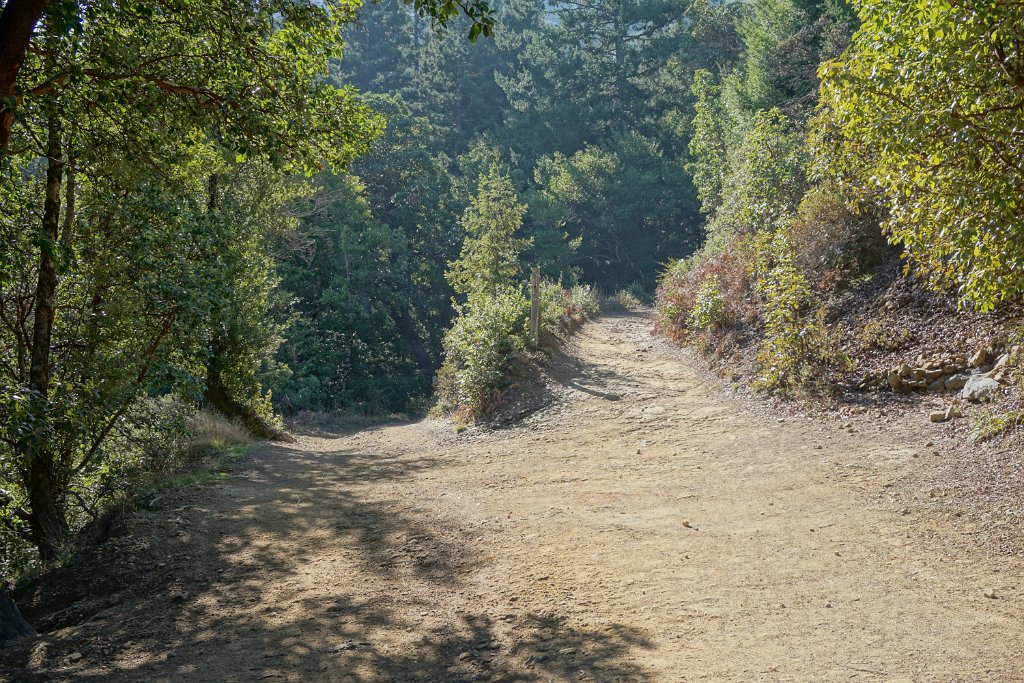 DSC05246