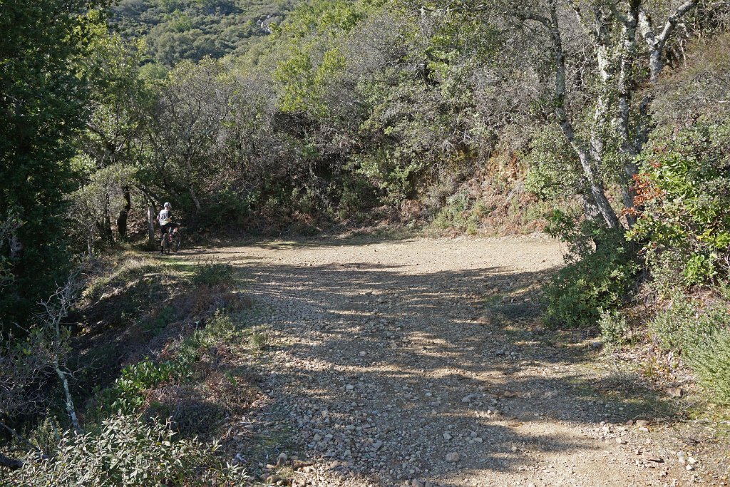DSC05256
