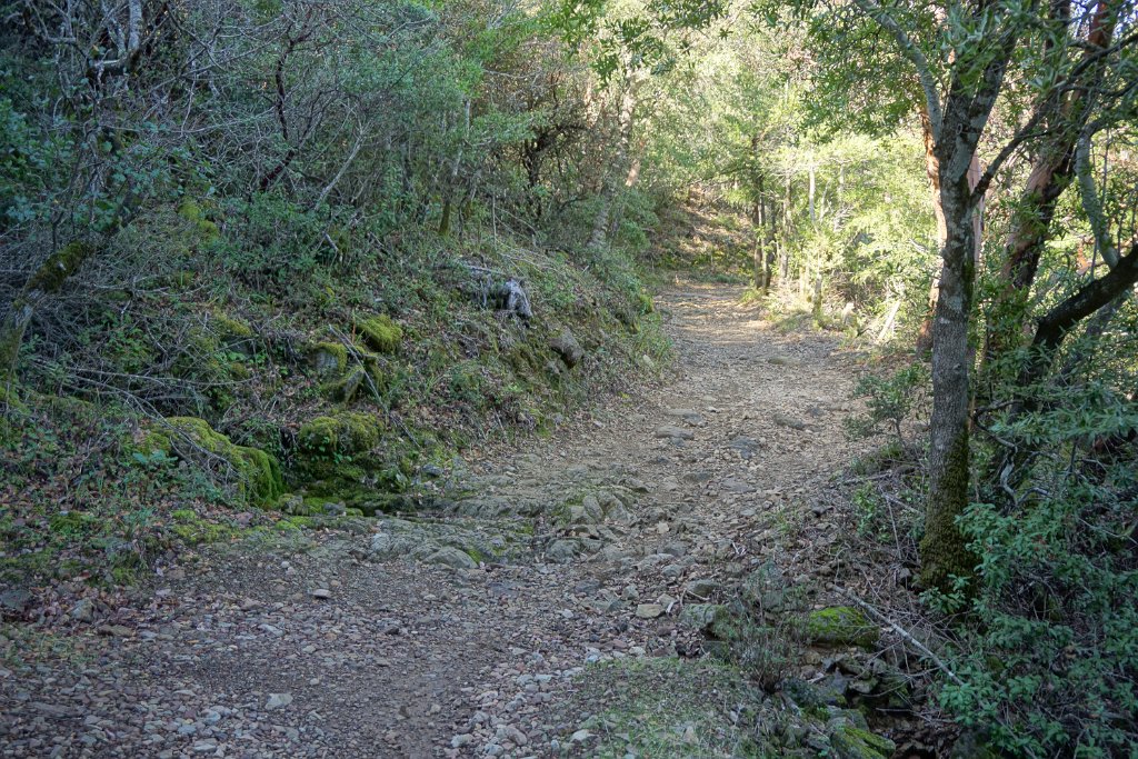 DSC05266