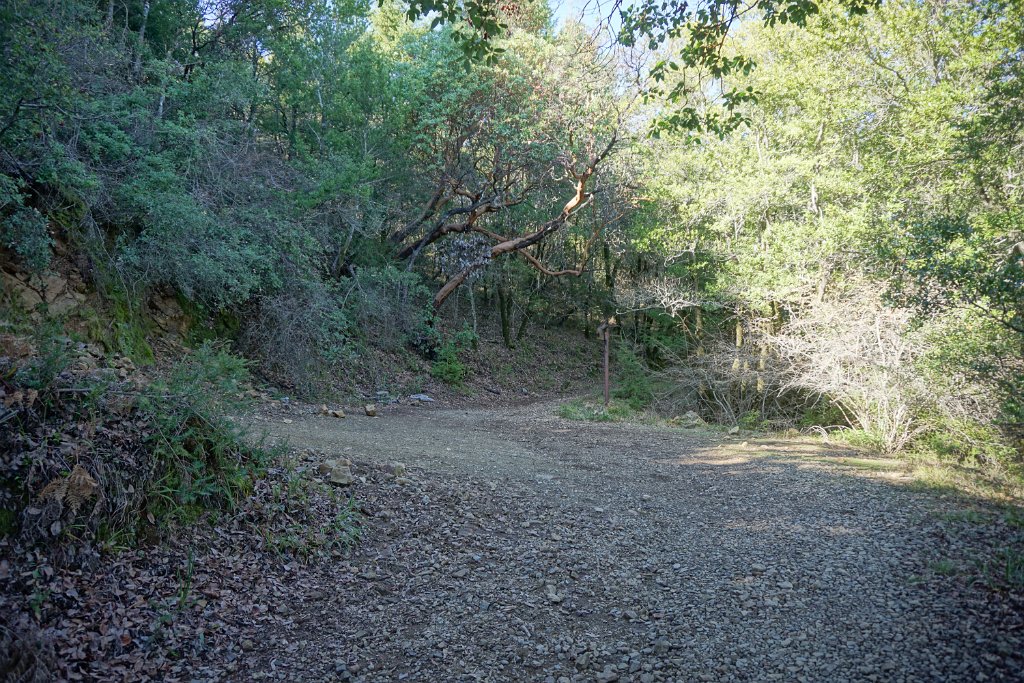 DSC05270