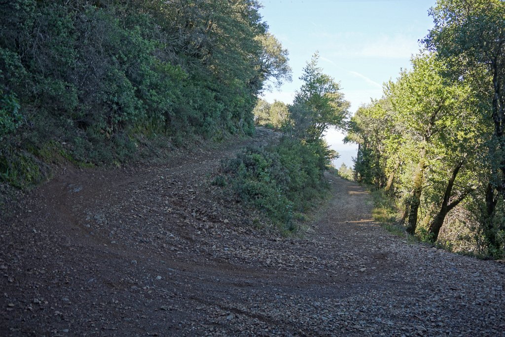 DSC05294
