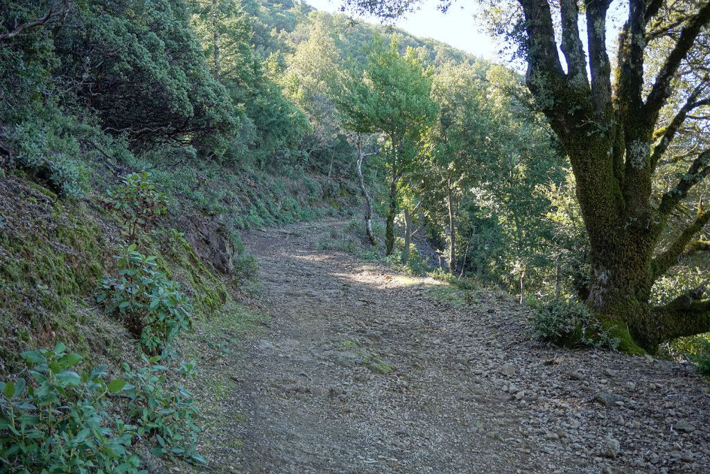 DSC05296