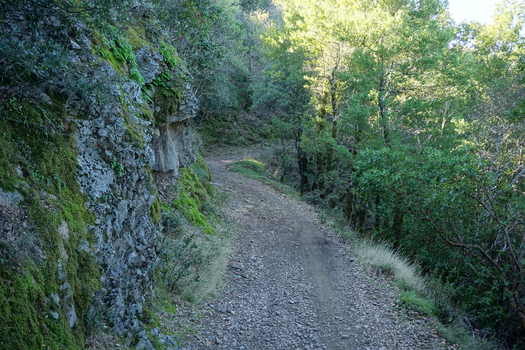 DSC05302