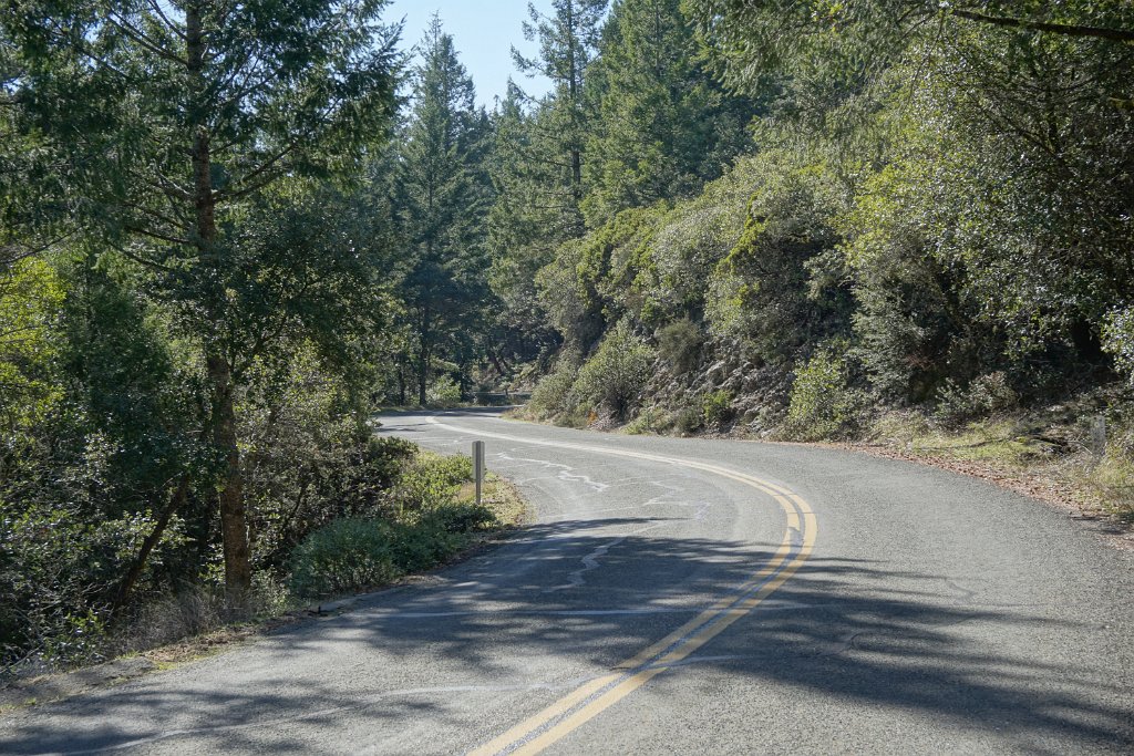 DSC05346