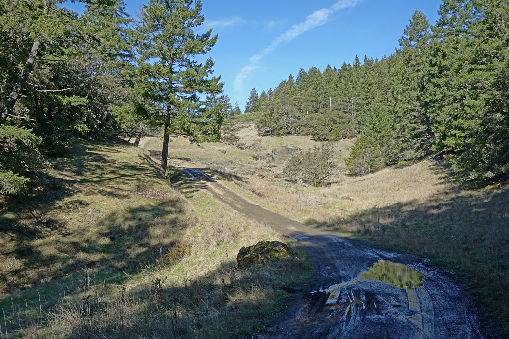 DSC05358