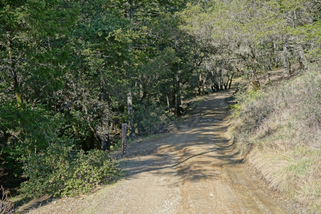 DSC05360