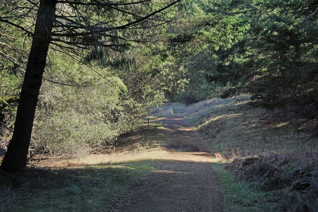 DSC05381