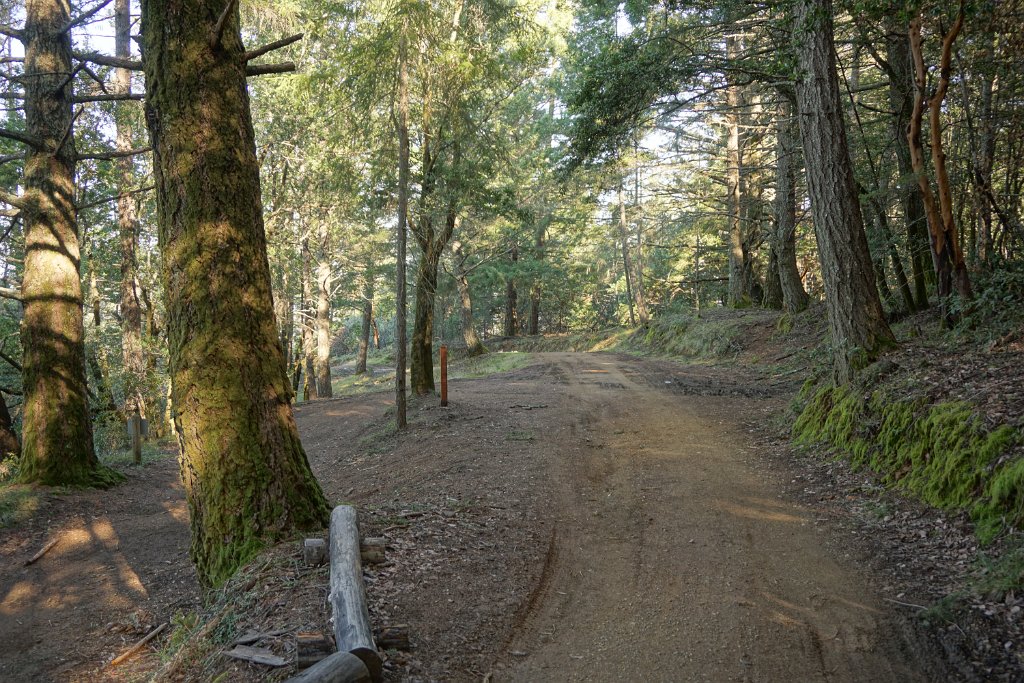 DSC05410