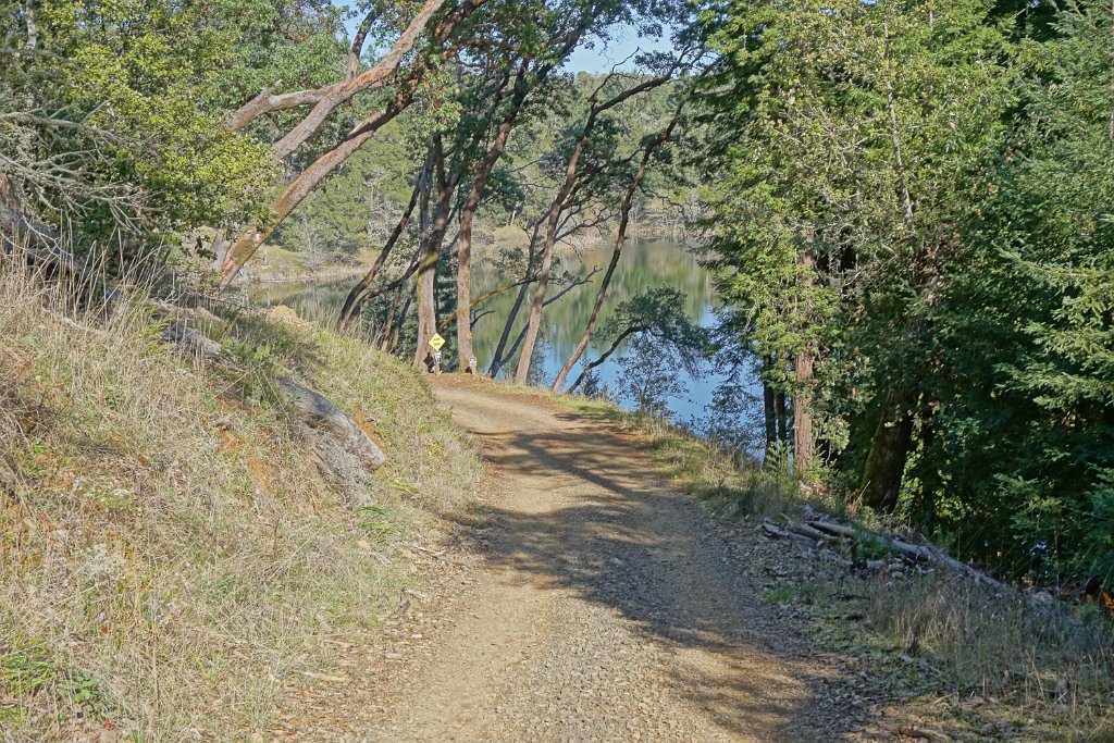 DSC05424