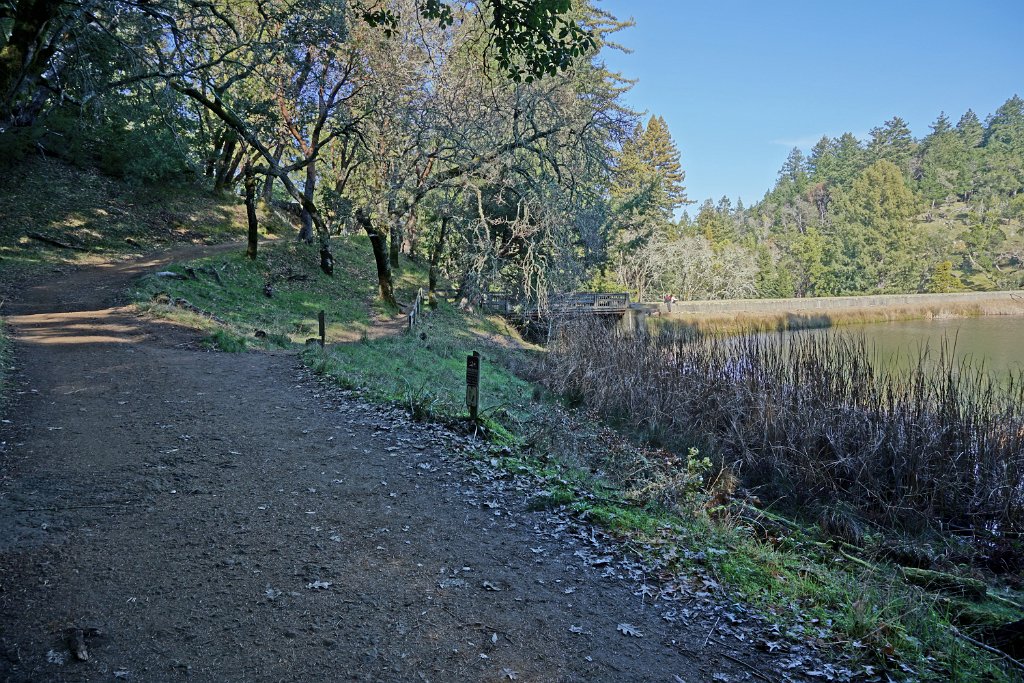DSC05432