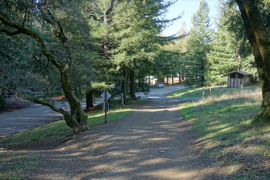 DSC05439