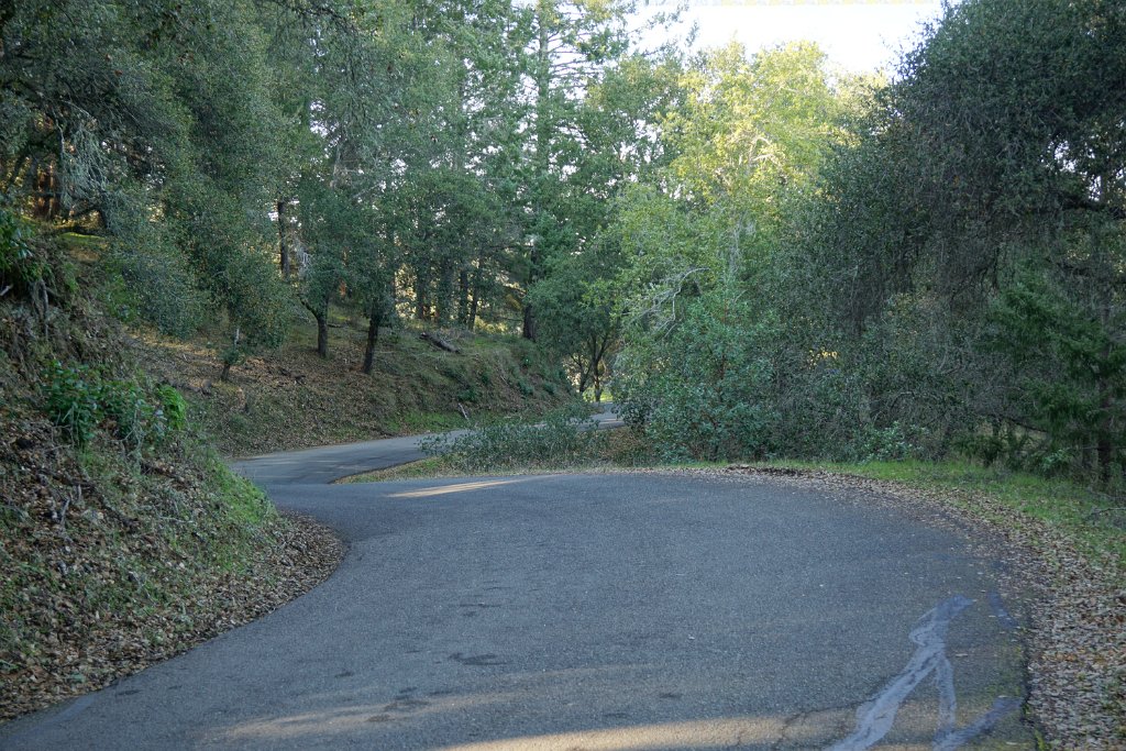 DSC05463