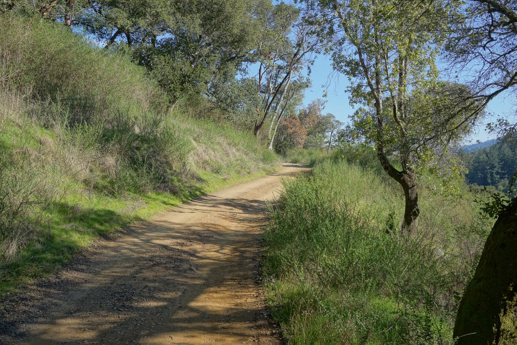DSC05470