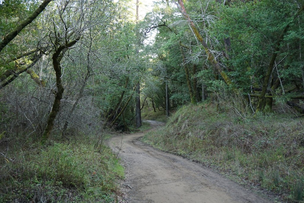 DSC05488