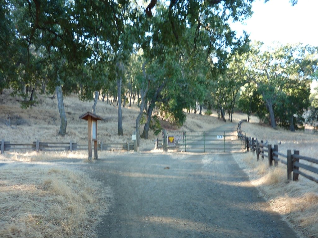 P1030822