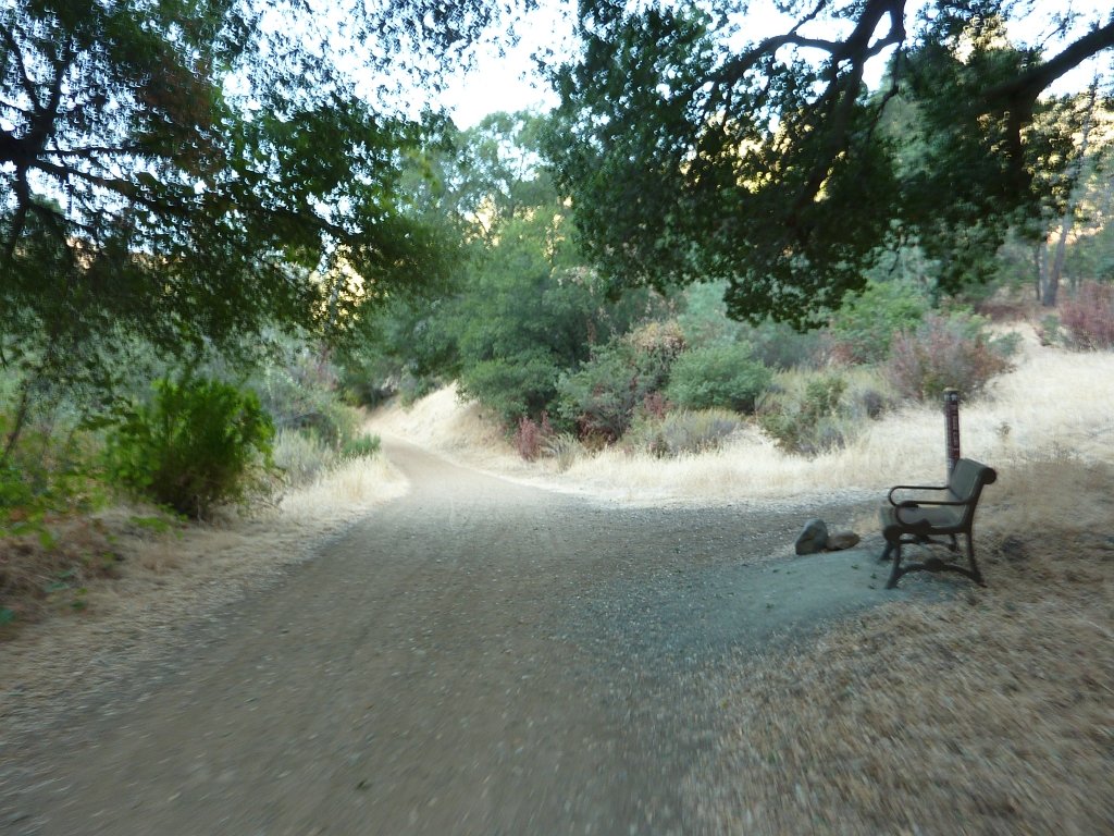 P1030825