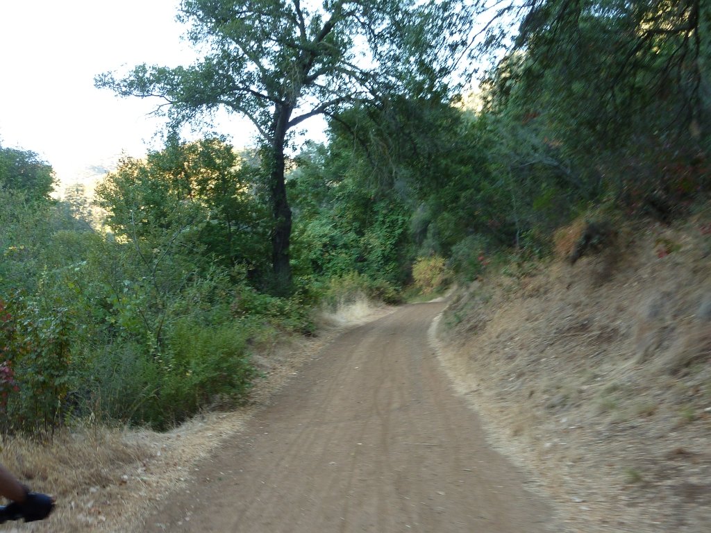 P1030828