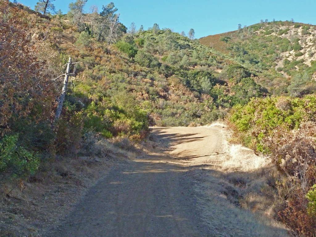 P1030840