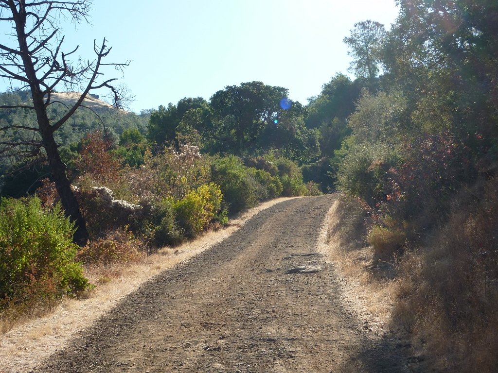 P1030843