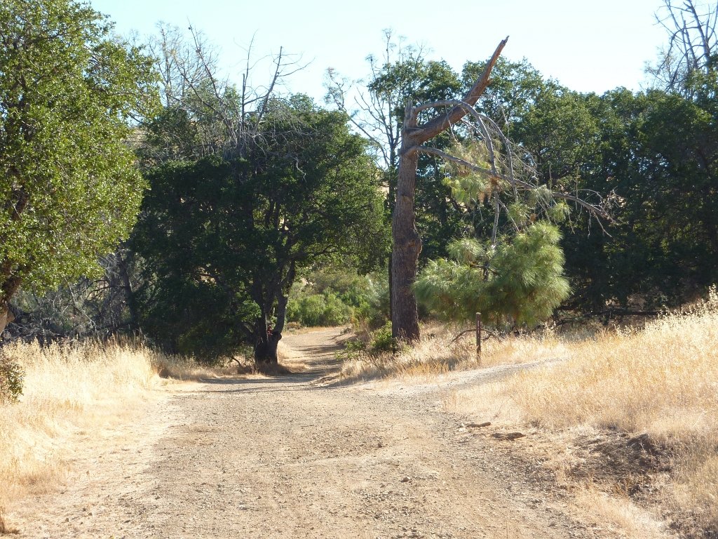 P1030848