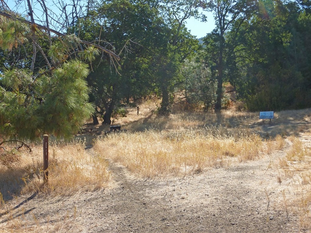 P1030849