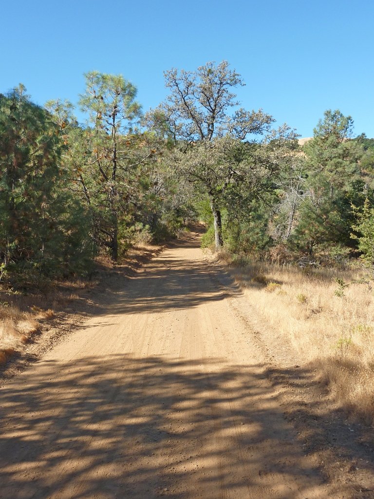 P1030852