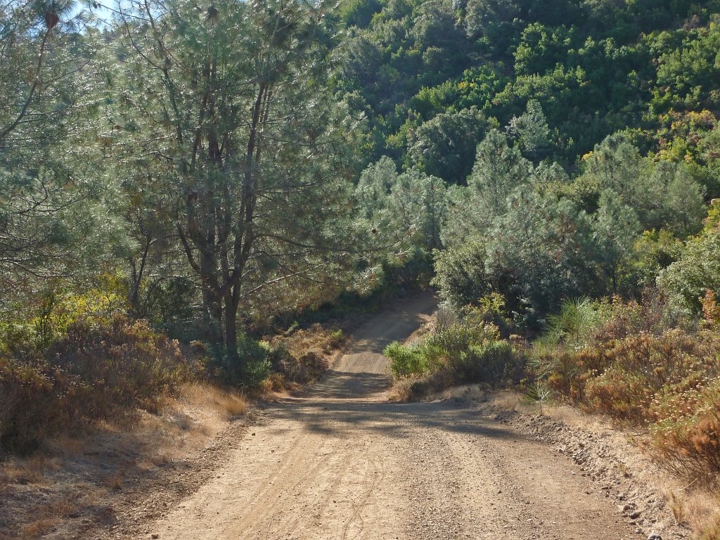 P1030856