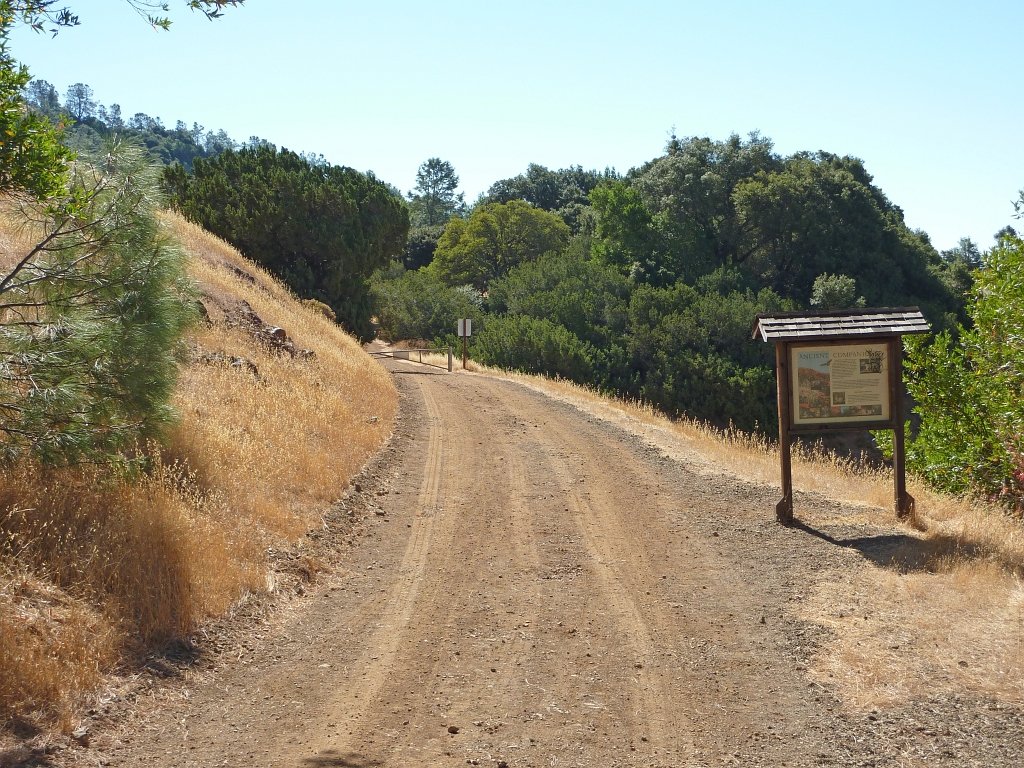 P1030880