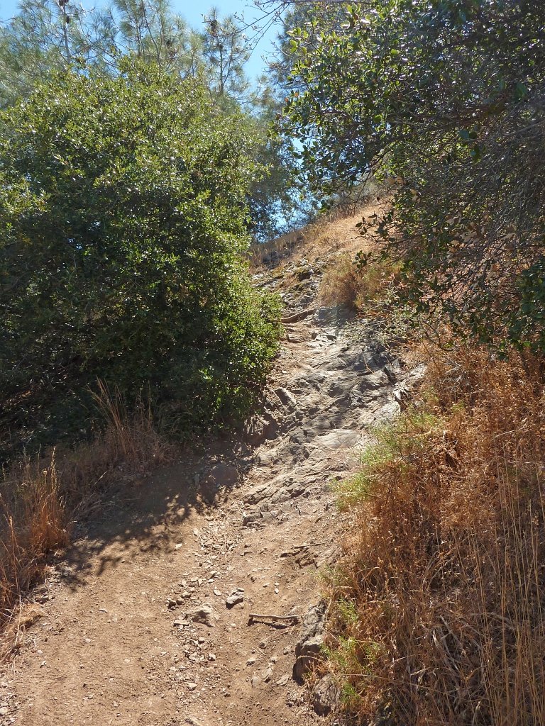 P1030941