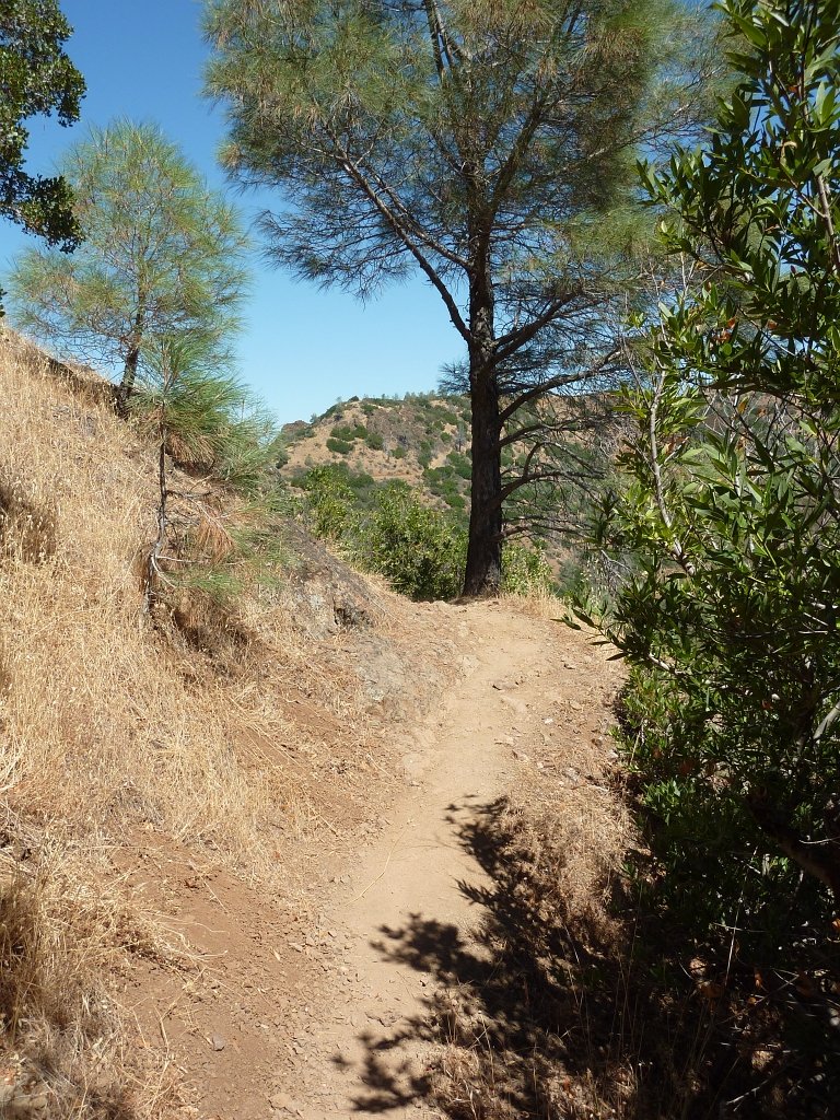 P1030944