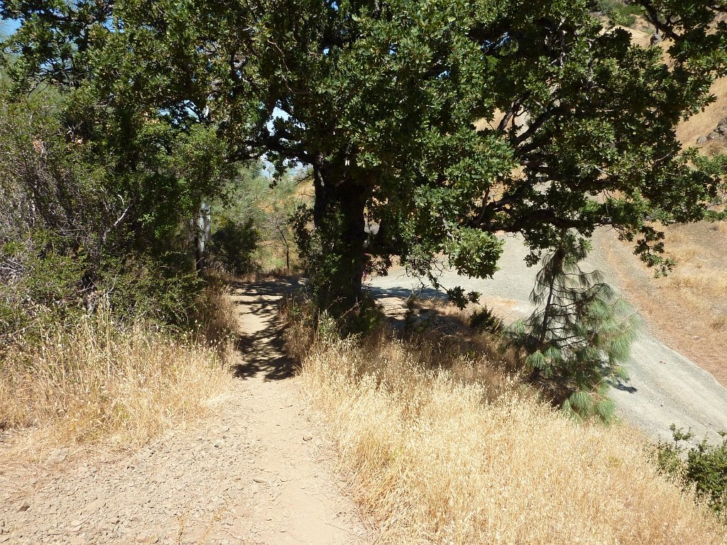 P1030949