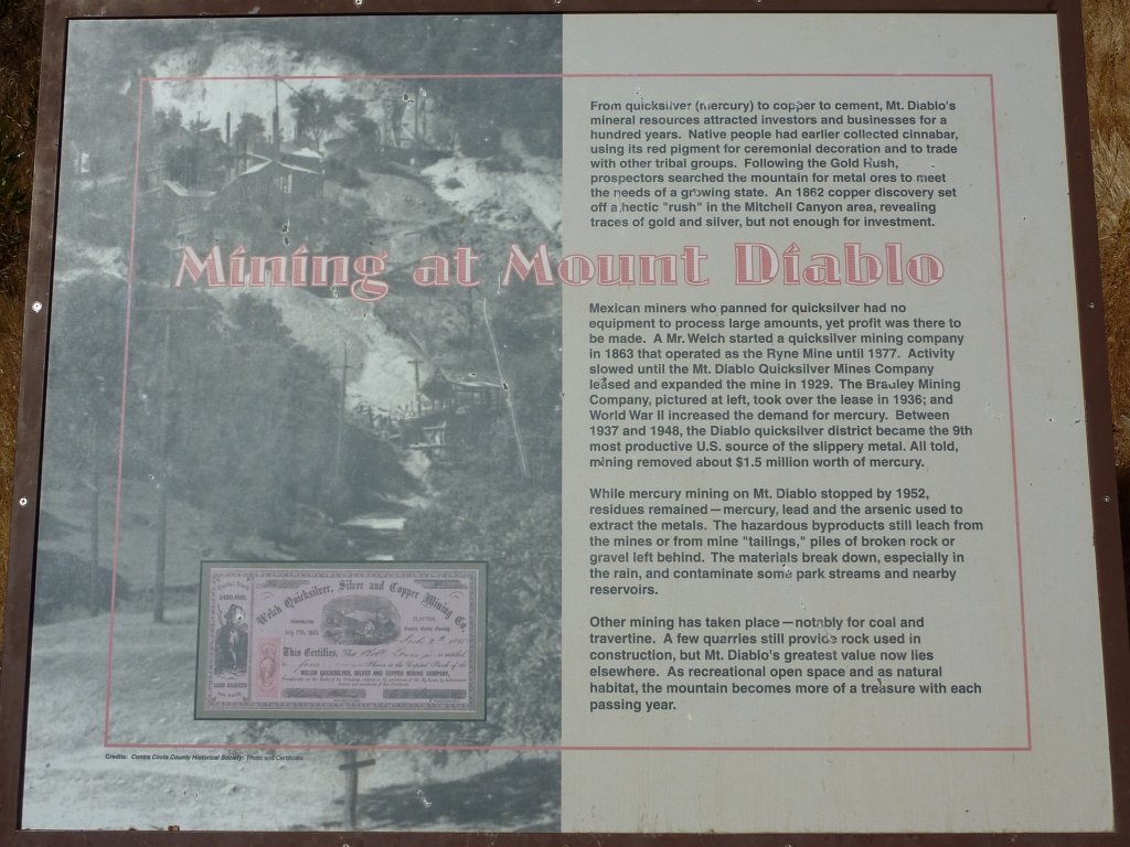 P1030950