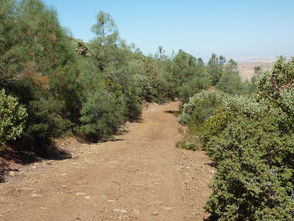 P1030960