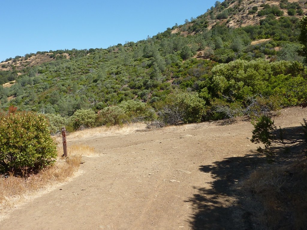 P1030967