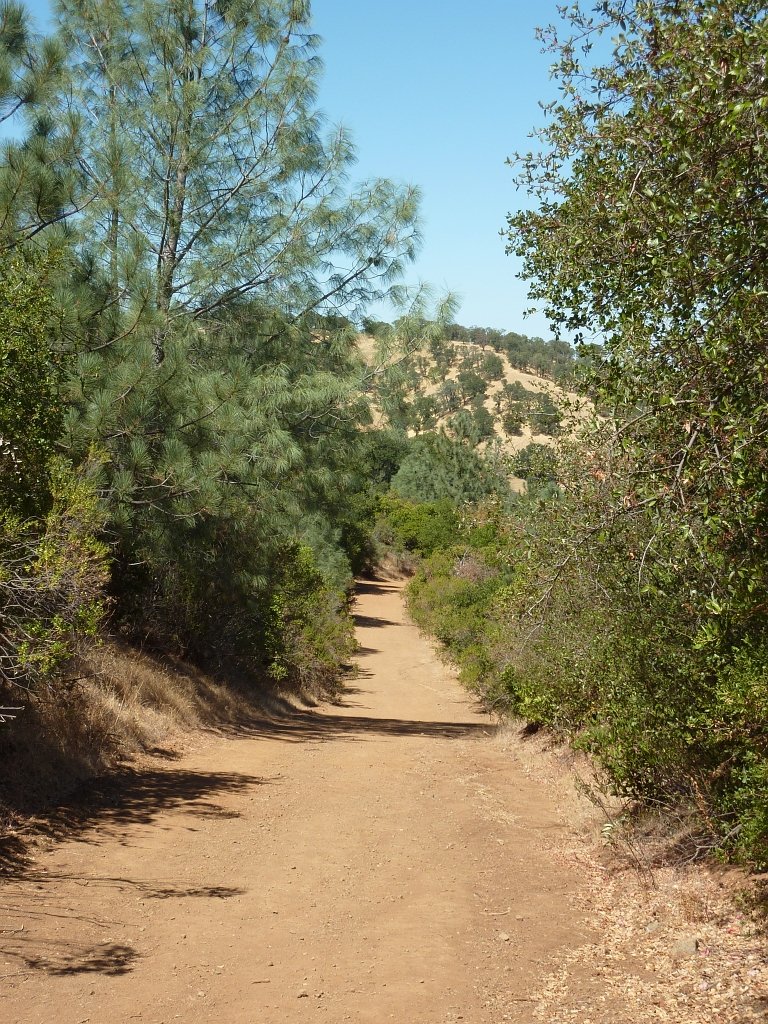 P1030969