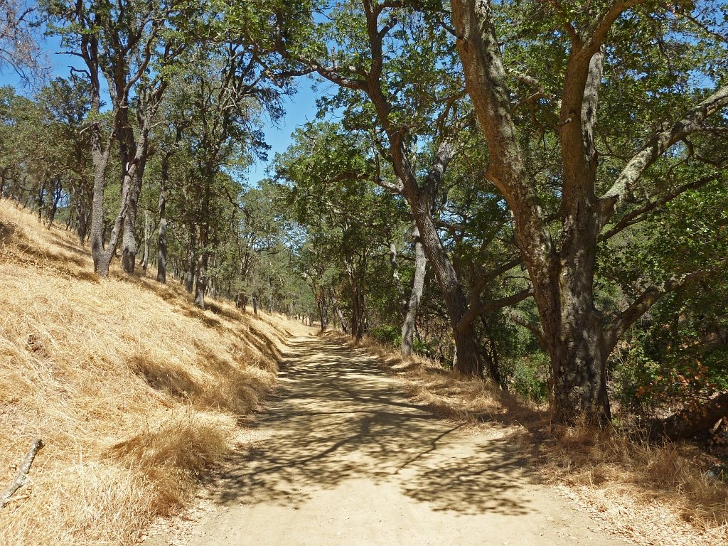 P1030973