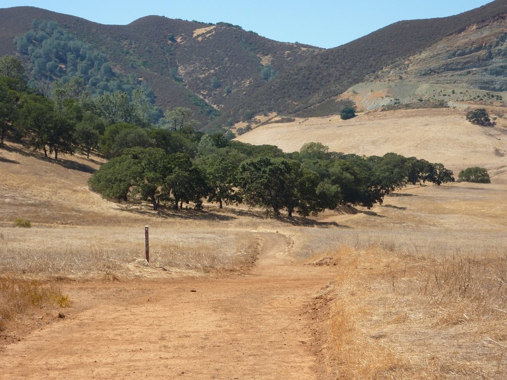 P1030980