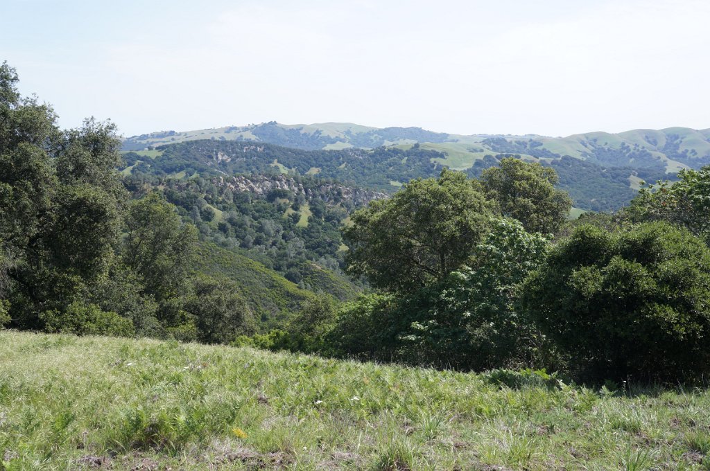DSC08957