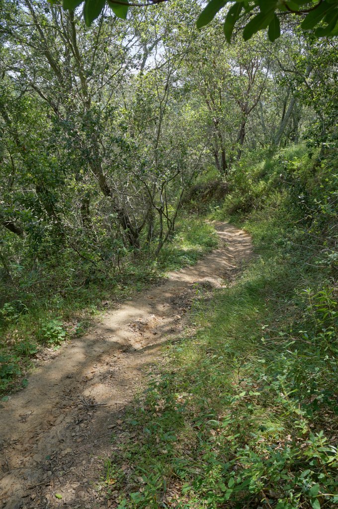 DSC08974