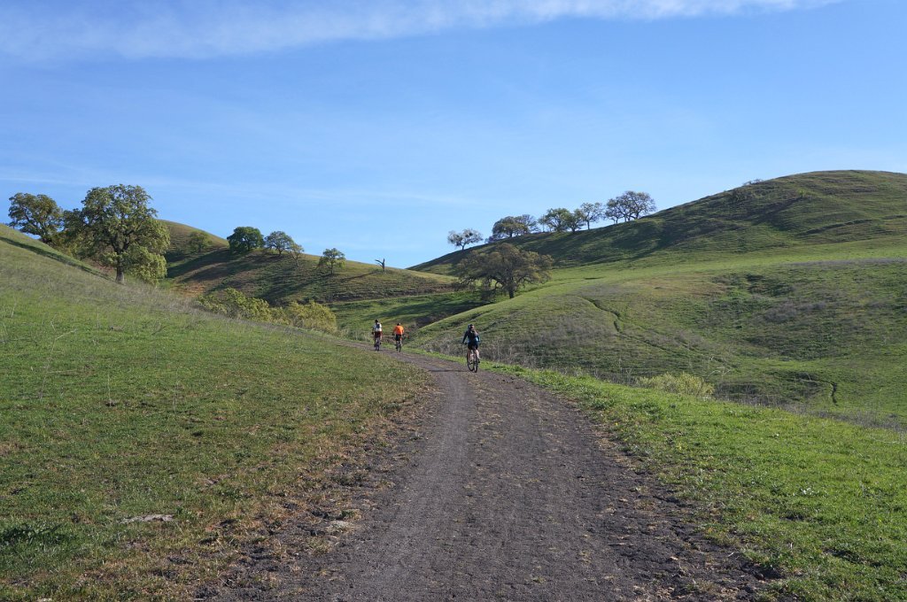 DSC05017