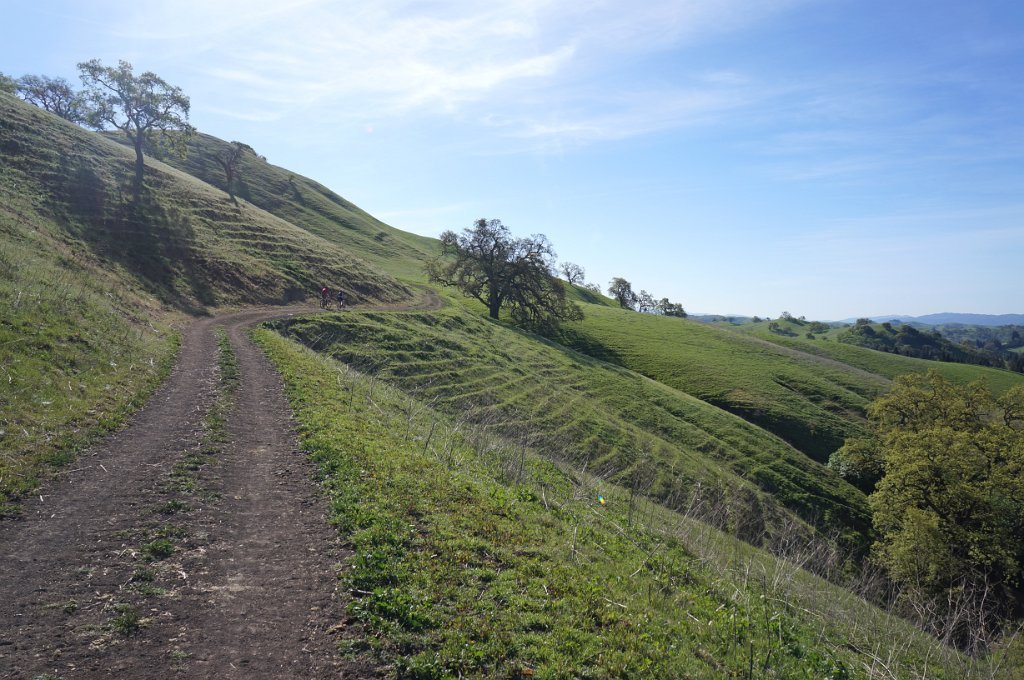 DSC05021