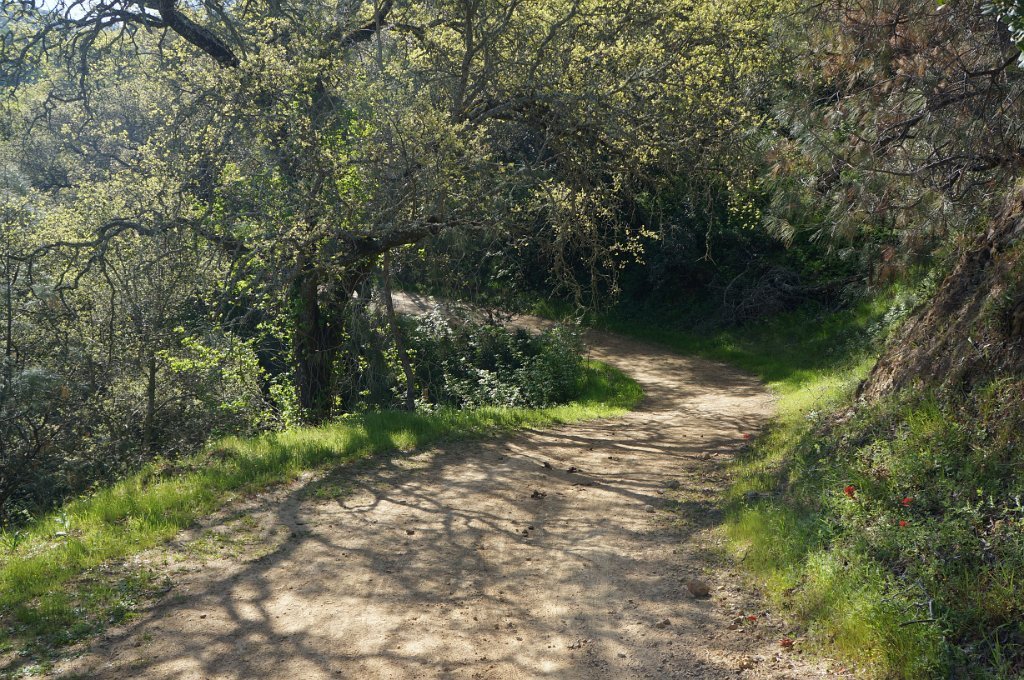 DSC05029
