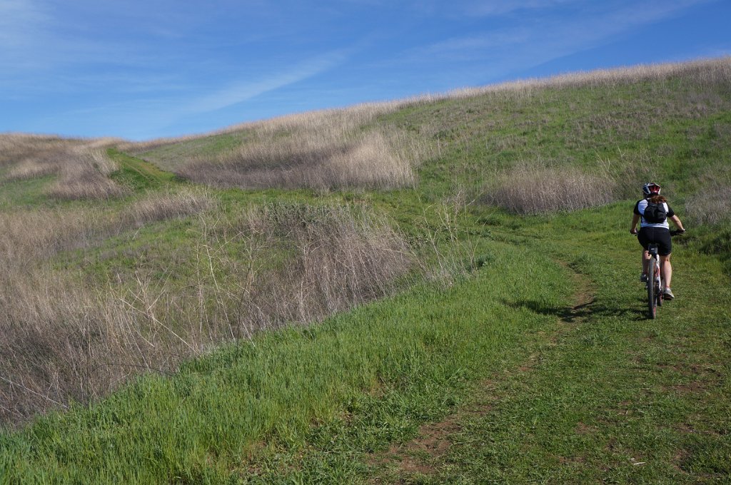 DSC05039