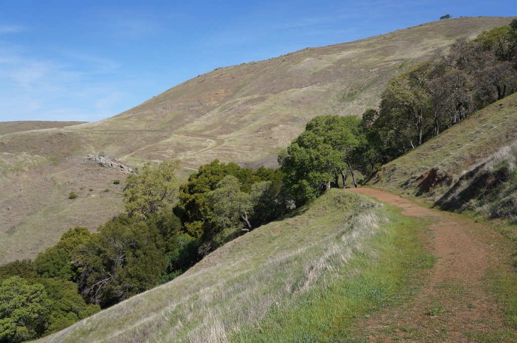 DSC05080
