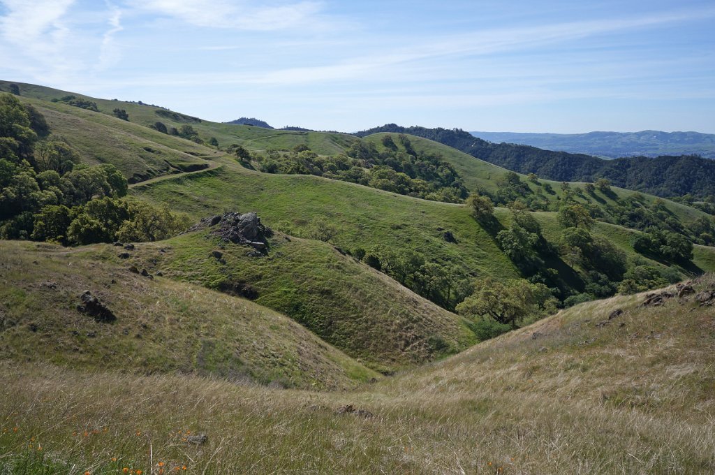 DSC05082