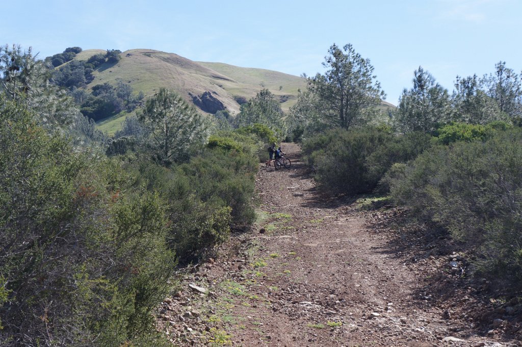 DSC05090