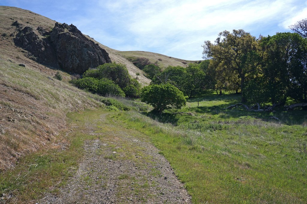 DSC05095